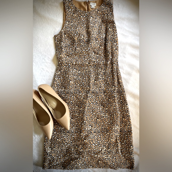 J. Crew leopard print knee length dress. - Picture 1 of 3